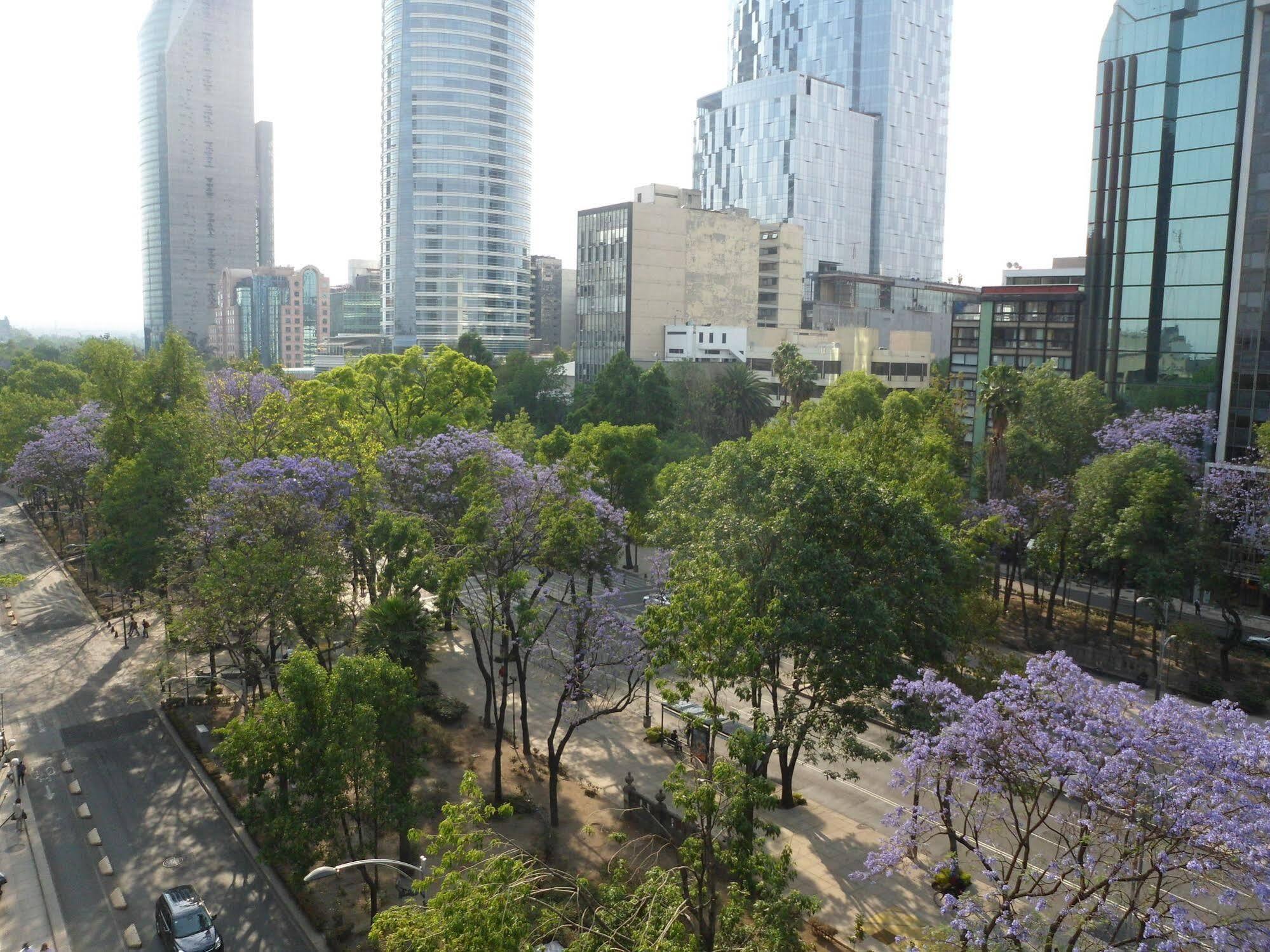 Suites Capri Reforma Angel 380 Mexikóváros Kültér fotó